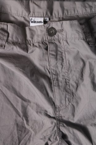 Herren Shorts Watson's, Größe XL, Farbe Grau, Preis € 30,99