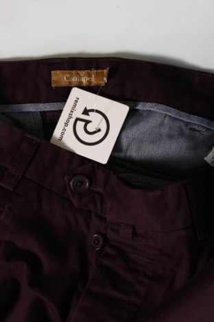 Herrenhose Conbipel, Größe M, Farbe Lila, Preis € 20,97