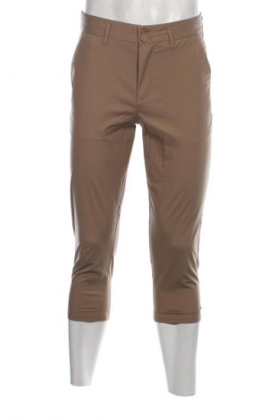 Herrenhose Selected, Größe S, Farbe Beige, Preis € 10,99