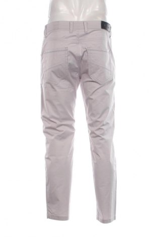 Herrenhose Teodor, Größe L, Farbe Grau, Preis 4,49 €