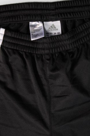 Herren Sporthose Adidas, Größe L, Farbe Schwarz, Preis € 28,79