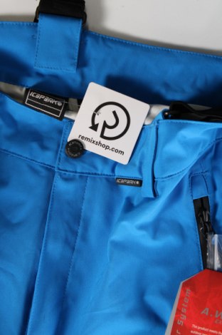 Herrenhose für Wintersport Icepeak, Größe L, Farbe Blau, Preis € 32,99