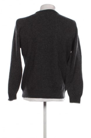 Herrenpullover, Größe L, Farbe Grau, Preis € 9,49