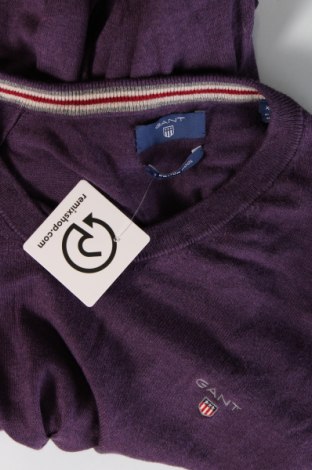 Herrenpullover Gant, Größe XL, Farbe Lila, Preis € 43,99