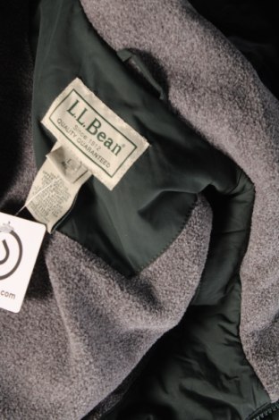 Herrenjacke L.L. Bean, Größe L, Farbe Grün, Preis € 47,49