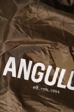 Rucksack Angulus, Farbe Grün, Preis € 18,99