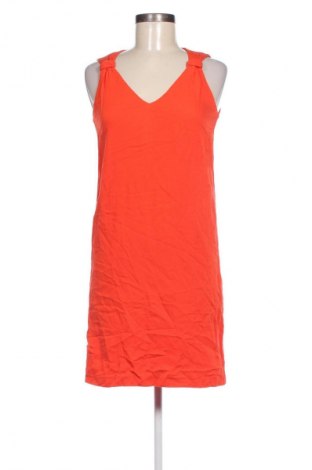 Kleid Comptoir Des Cotonniers, Größe S, Farbe Rot, Preis 27,49 €