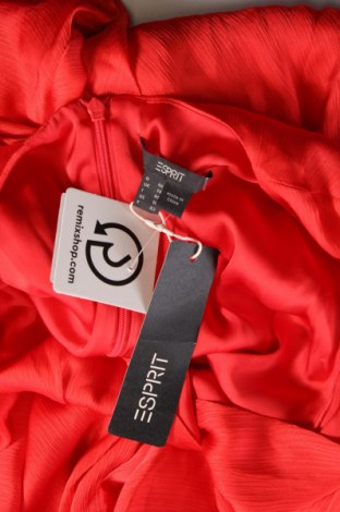 Kleid Esprit, Größe M, Farbe Rot, Preis € 28,49