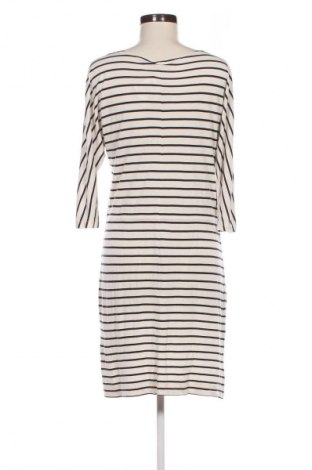 Kleid Filippa K, Größe S, Farbe Mehrfarbig, Preis 55,41 €