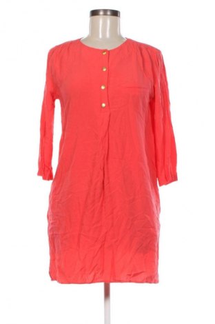 Kleid Mango, Größe XS, Farbe Rosa, Preis € 4,99