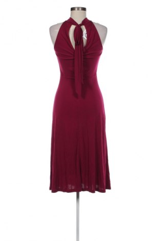 Kleid Massimo Dutti, Größe XS, Farbe Rot, Preis € 80,97