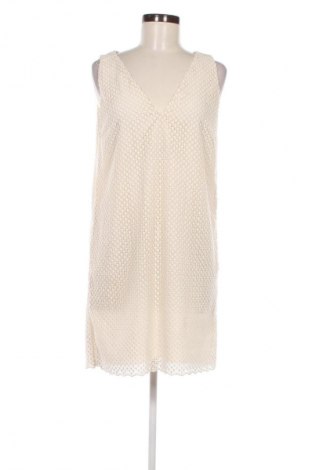 Kleid Massimo Dutti, Größe L, Farbe Beige, Preis € 29,99