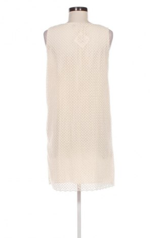 Kleid Massimo Dutti, Größe L, Farbe Beige, Preis 29,99 €