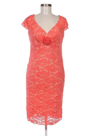 Kleid Mizar, Größe XL, Farbe Rosa, Preis € 36,64