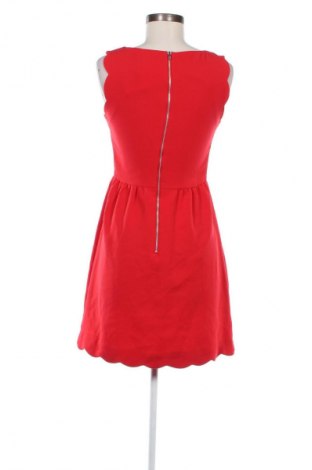 Kleid Naf Naf, Größe S, Farbe Rot, Preis 16,99 €