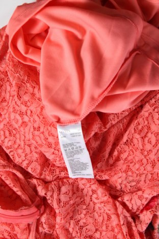 Kleid Oasis, Größe S, Farbe Rosa, Preis € 8,88