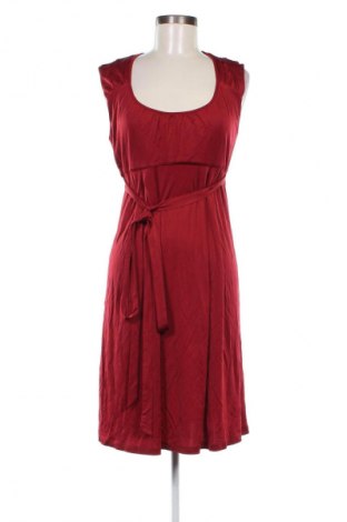 Kleid Penny Black, Größe L, Farbe Rot, Preis € 34,53