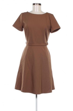 Kleid Perspective, Größe S, Farbe Braun, Preis 13,99 €