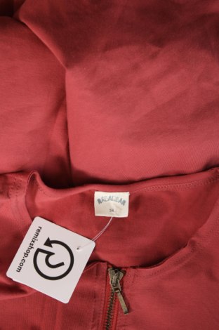 Kleid Rabarbar, Größe XS, Farbe Rot, Preis € 29,99