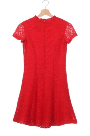 Kleid Sinsay, Größe XS, Farbe Rot, Preis € 6,99