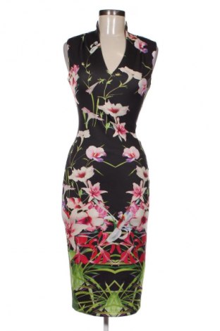 Rochie Ted Baker, Mărime S, Culoare Multicolor, Preț 274,04 Lei