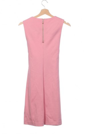 Kleid Ted Baker, Größe XS, Farbe Rosa, Preis € 60,49