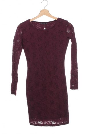 Kleid Terranova, Größe XS, Farbe Lila, Preis 6,99 €