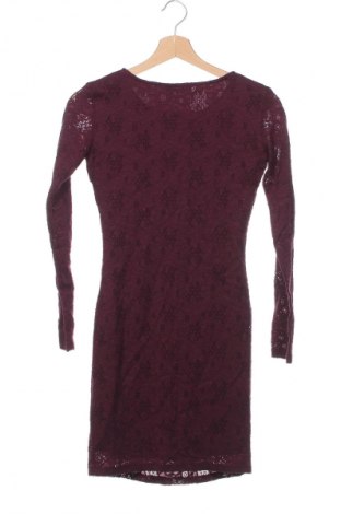 Kleid Terranova, Größe XS, Farbe Lila, Preis € 6,99