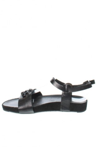 Sandalen Paul Green, Größe 38, Farbe Schwarz, Preis 75,87 €