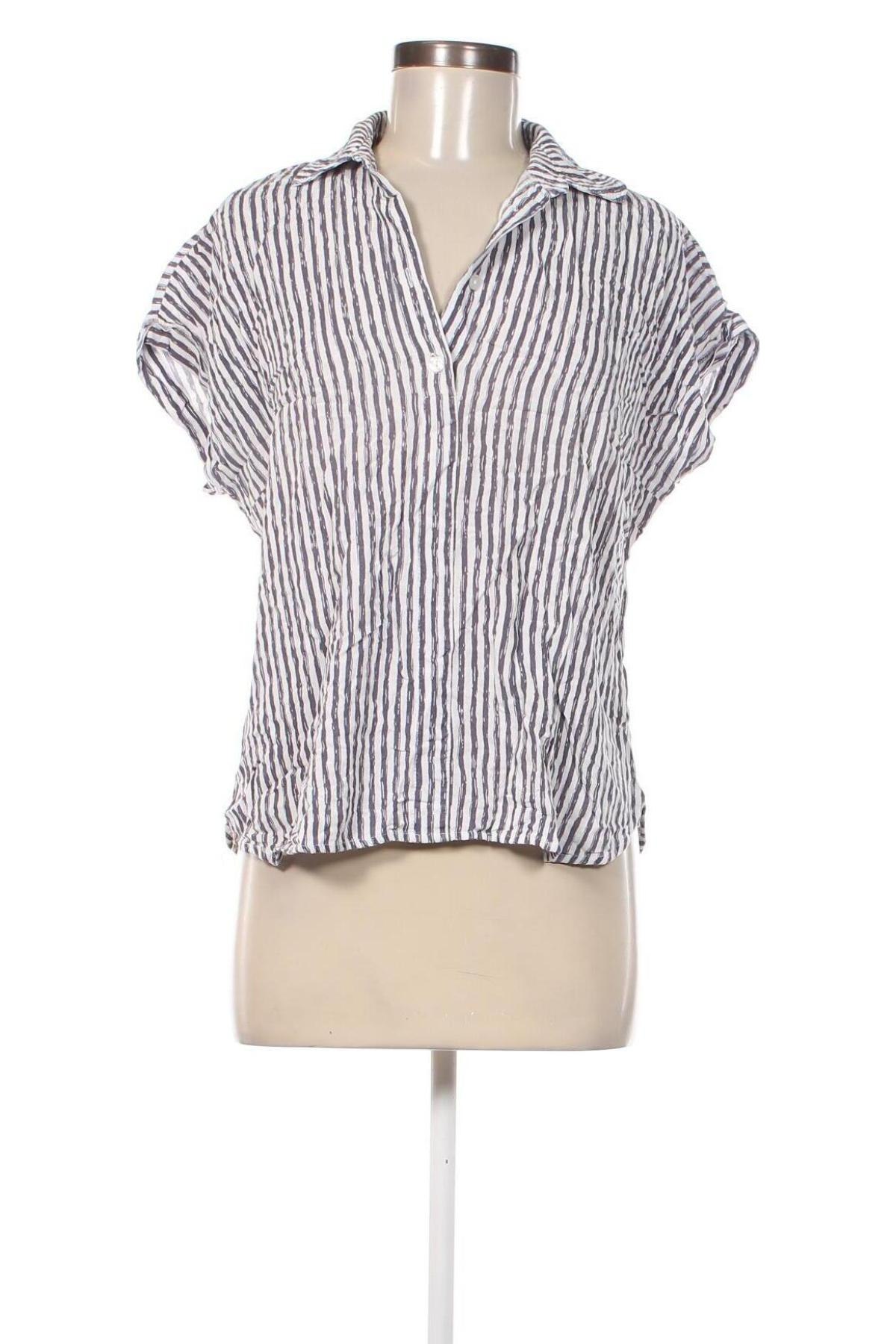 Damen Shirt Collection L, Größe M, Farbe Mehrfarbig, Preis € 4,49