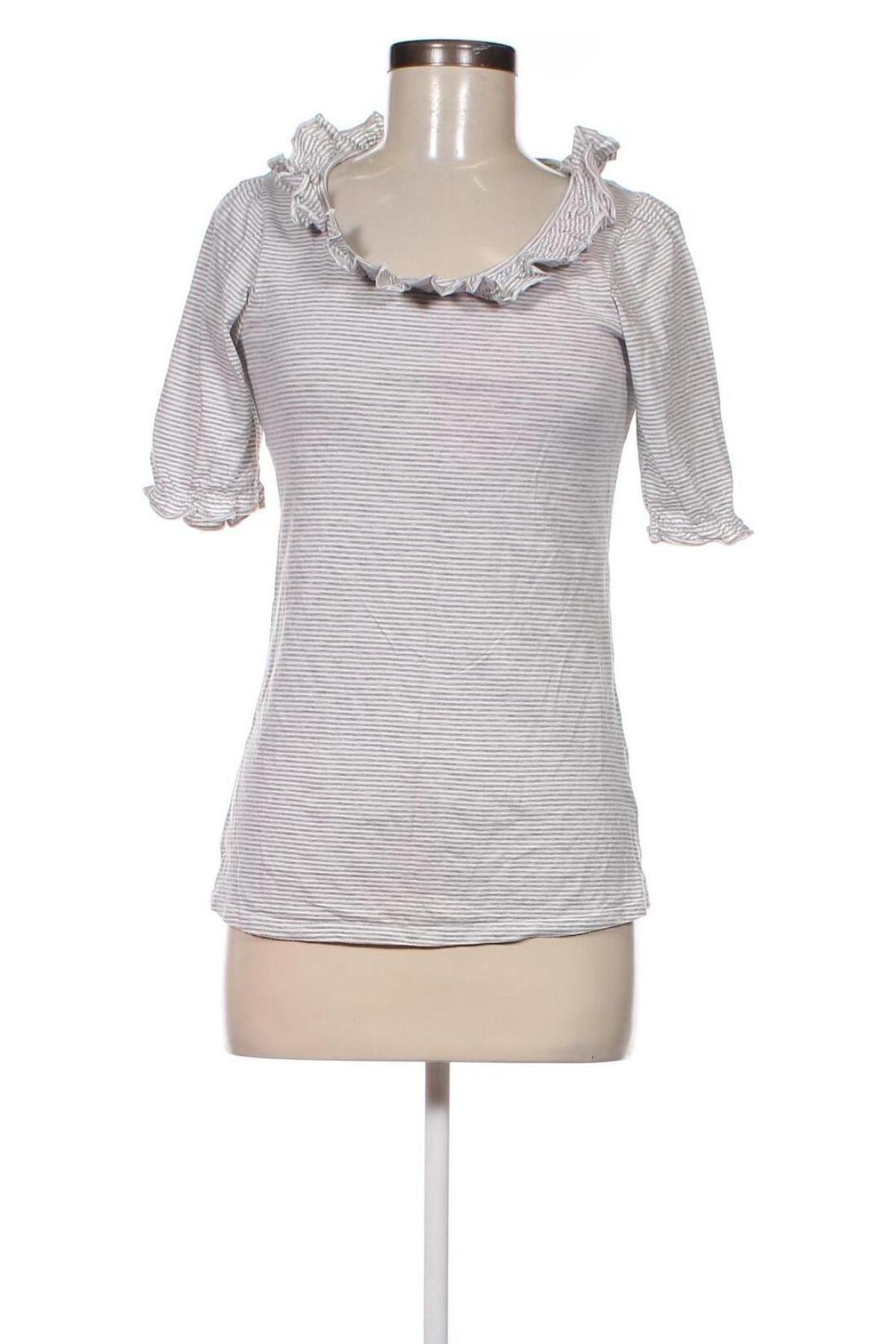 Damen Shirt Dorothy Perkins, Größe L, Farbe Mehrfarbig, Preis € 6,49