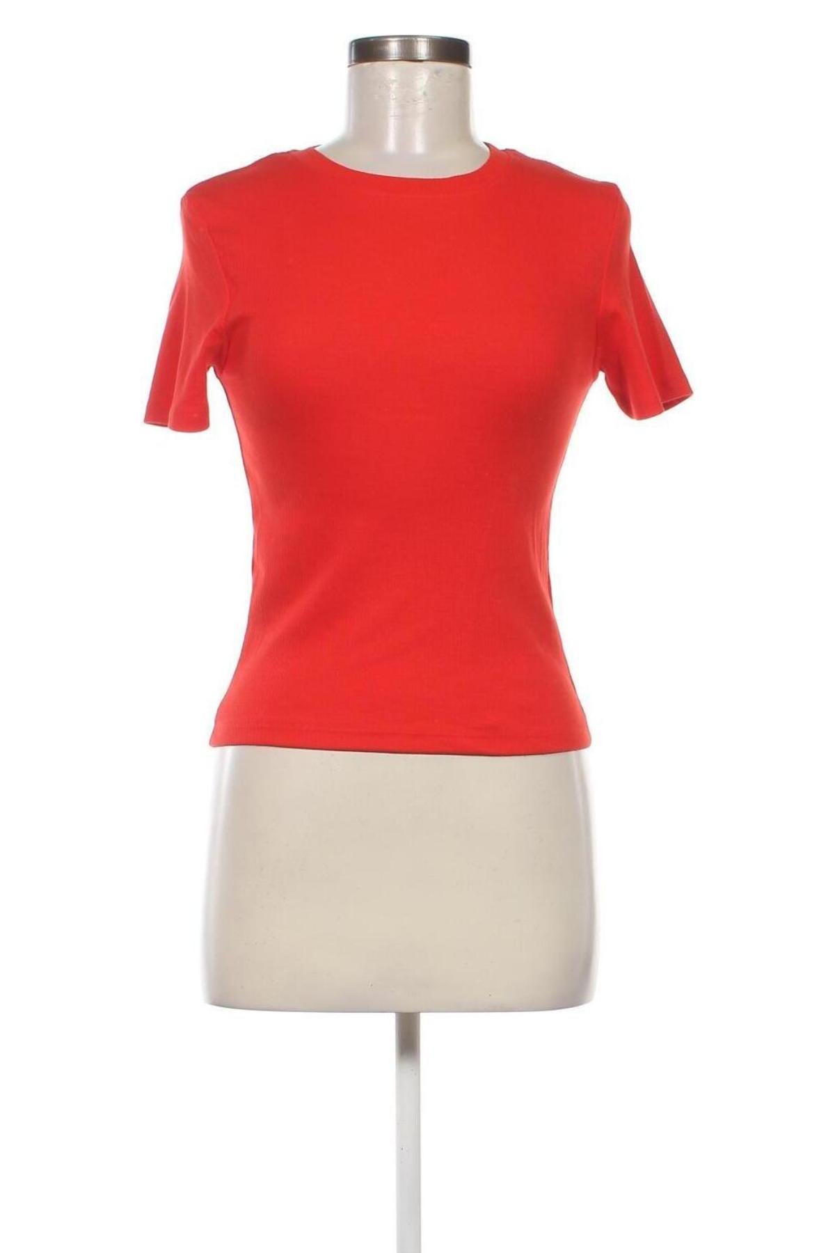 Damen Shirt FSBN Sister, Größe S, Farbe Rot, Preis € 6,66