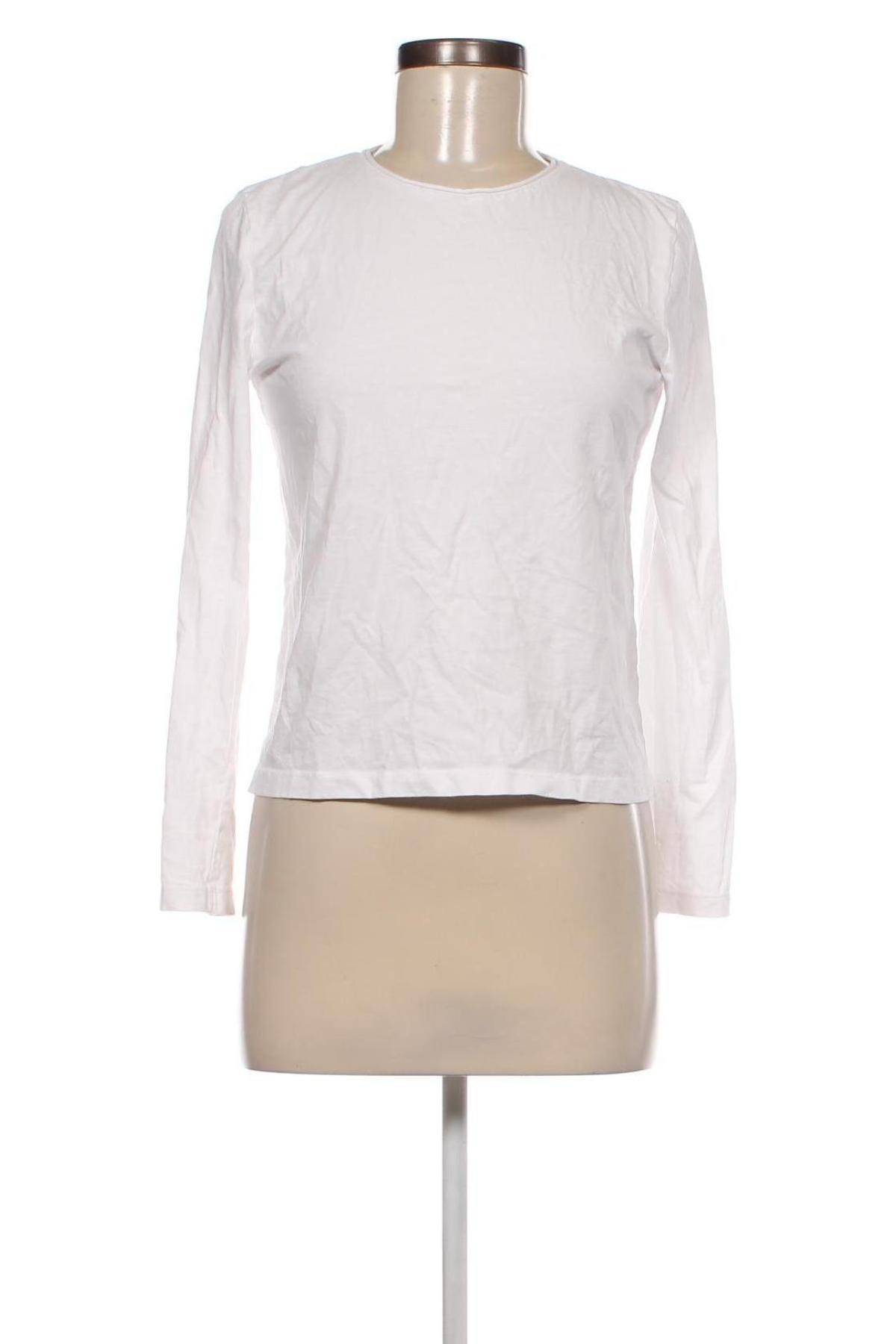 Damen Shirt Zara, Größe S, Farbe Weiß, Preis € 6,49