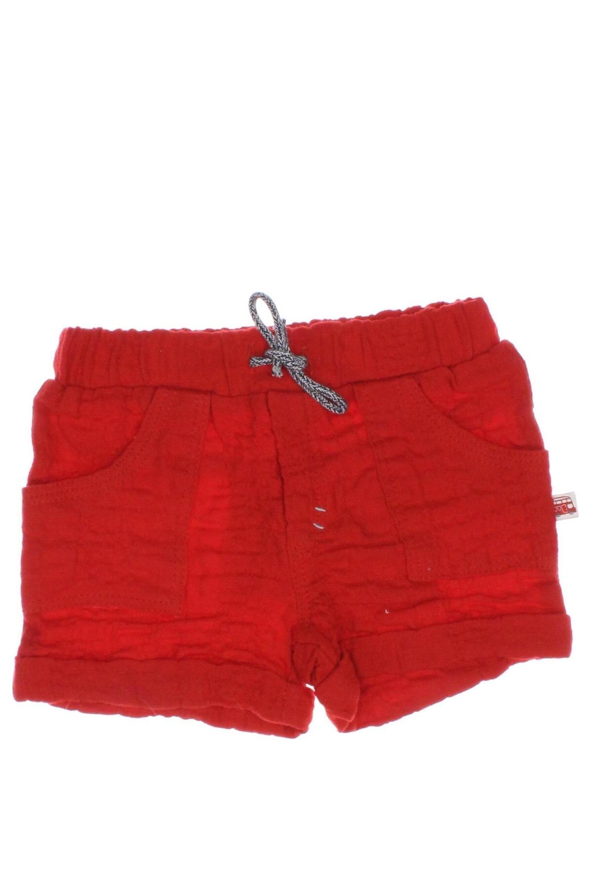 Absorba Kinder Shorts Absorba - günstig bei Remix - #128512269