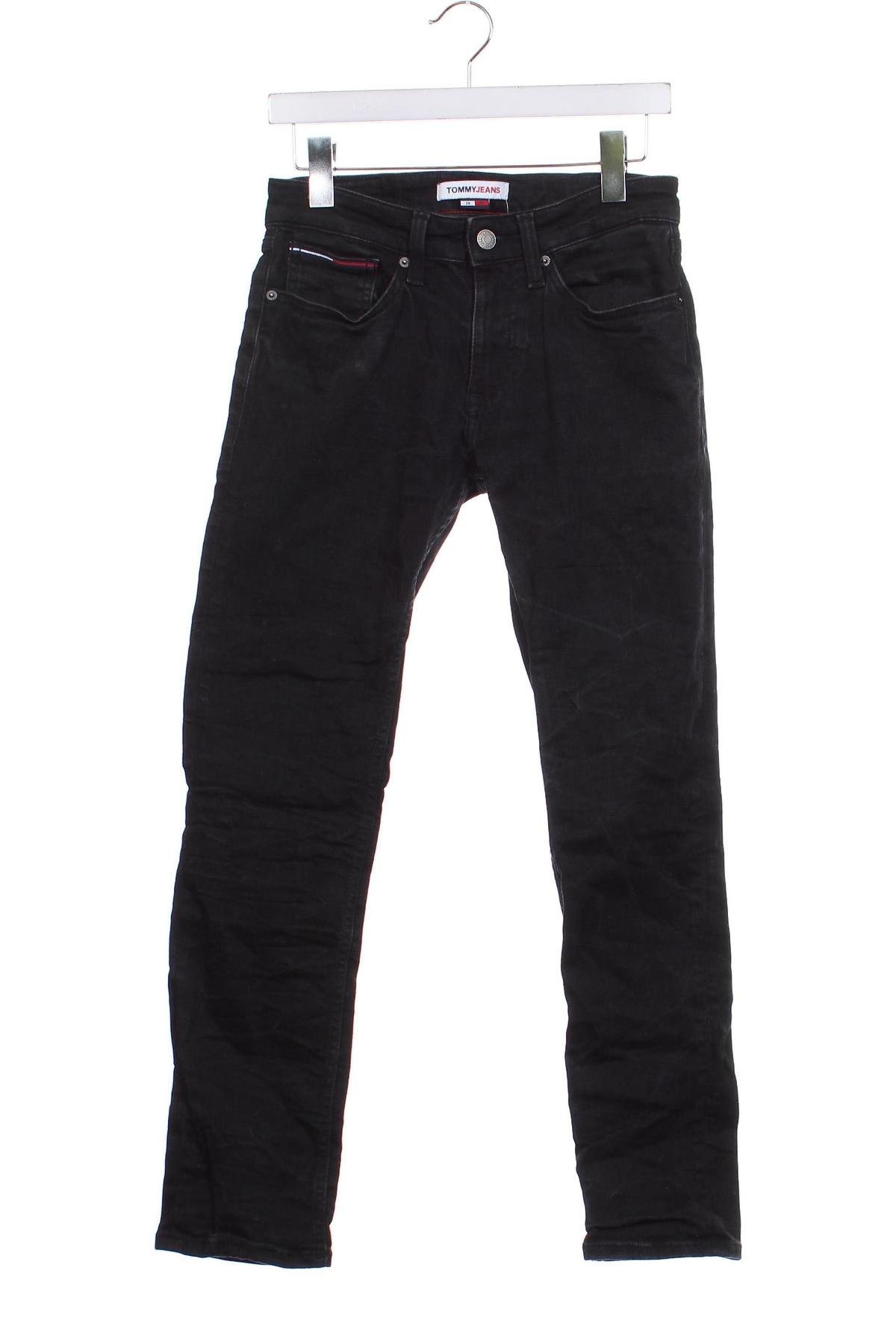 Pánske džínsy  Tommy Jeans, Veľkosť S, Farba Modrá, Cena  26,95 €