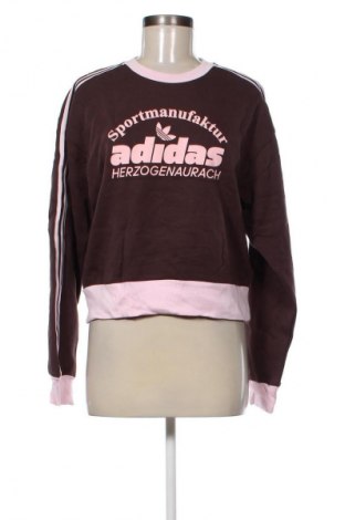 Damen Shirt Adidas Originals, Größe M, Farbe Mehrfarbig, Preis € 30,99