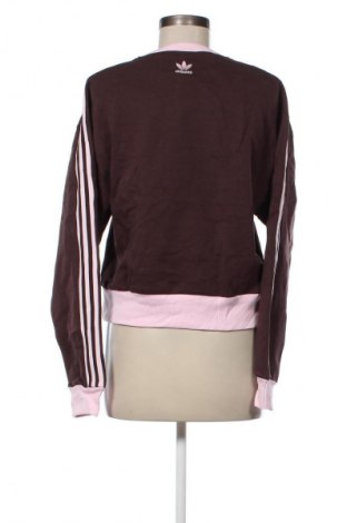 Damen Shirt Adidas Originals, Größe M, Farbe Mehrfarbig, Preis € 30,99