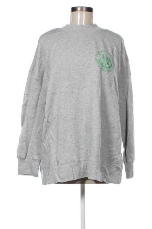 Damen Shirt Anko, Größe XL, Farbe Grau, Preis € 43,99