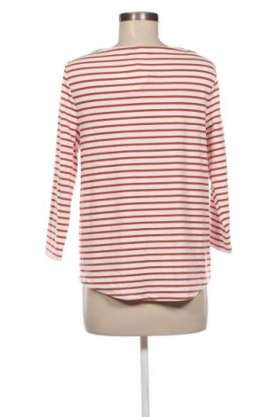 Damen Shirt Anko, Größe M, Farbe Mehrfarbig, Preis € 13,99
