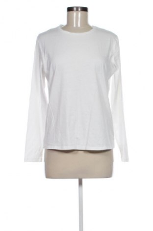 Damen Shirt Bluoltre, Größe M, Farbe Weiß, Preis € 9,79