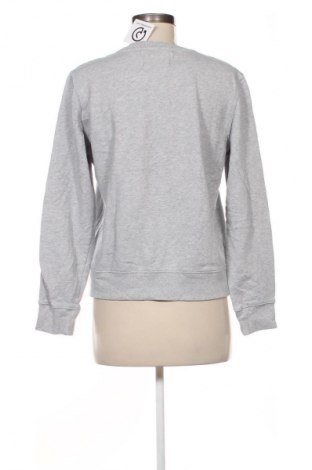 Γυναικεία μπλούζα Calvin Klein Jeans, Μέγεθος L, Χρώμα Γκρί, Τιμή 39,99 €