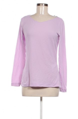 Damen Shirt Comma,, Größe M, Farbe Lila, Preis 33,99 €