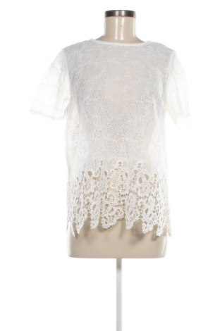 Damen Shirt Dorothy Perkins, Größe XL, Farbe Mehrfarbig, Preis € 16,99