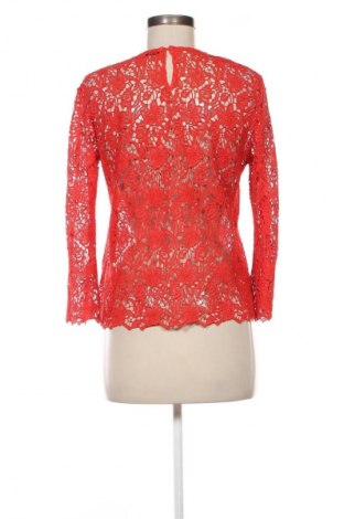 Damen Shirt Hallhuber, Größe M, Farbe Rot, Preis € 13,99