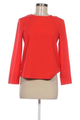 Damen Shirt Hallhuber, Größe M, Farbe Rot, Preis € 33,99