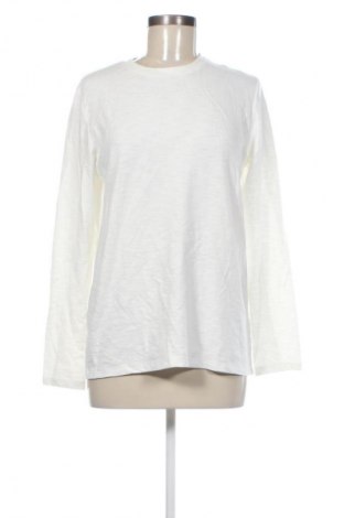 Damen Shirt Hang Ten, Größe L, Farbe Weiß, Preis € 9,99
