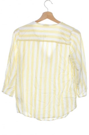 Damen Shirt Lascana, Größe XS, Farbe Mehrfarbig, Preis € 53,99