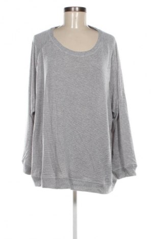 Damen Shirt Millers, Größe 3XL, Farbe Grau, Preis 13,99 €