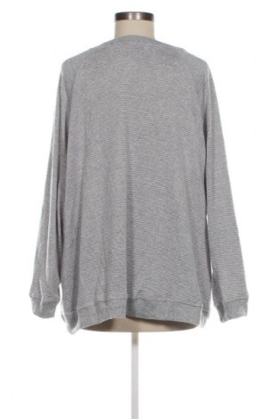 Damen Shirt Millers, Größe 3XL, Farbe Grau, Preis 13,99 €