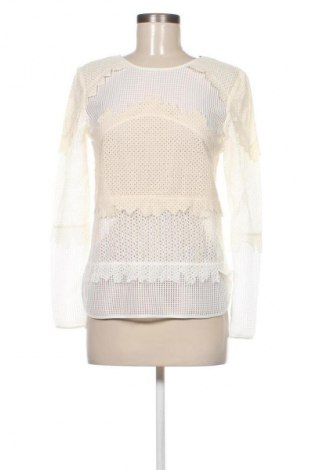 Damen Shirt Next, Größe XS, Farbe Ecru, Preis € 27,99